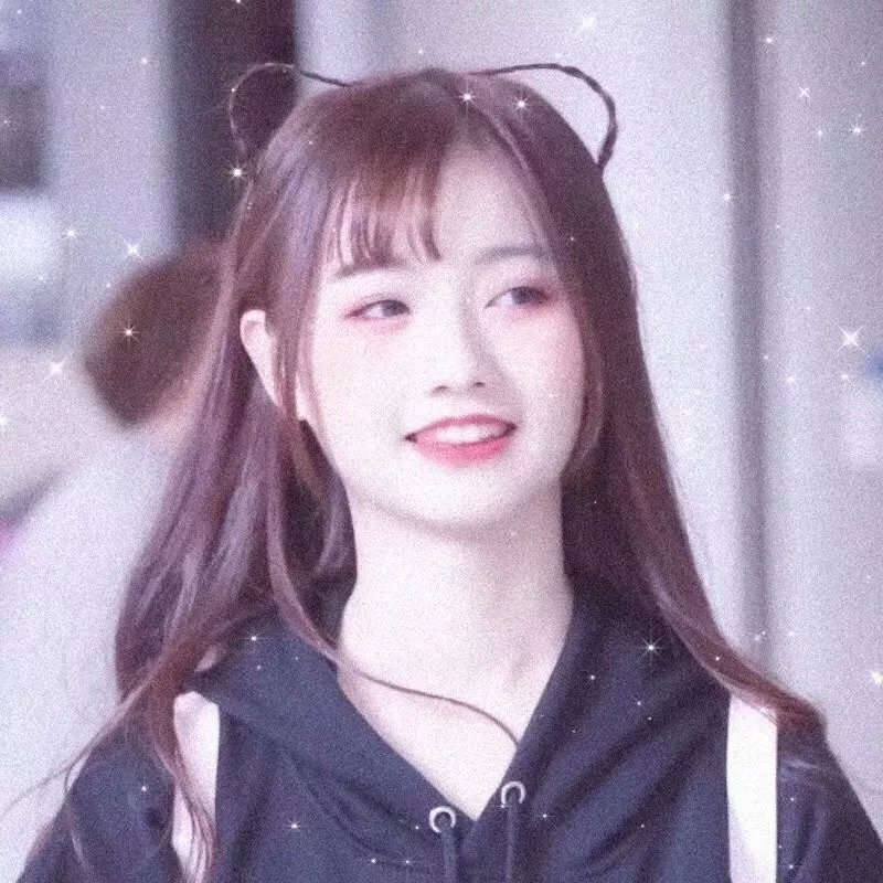 美国派：兄弟会
